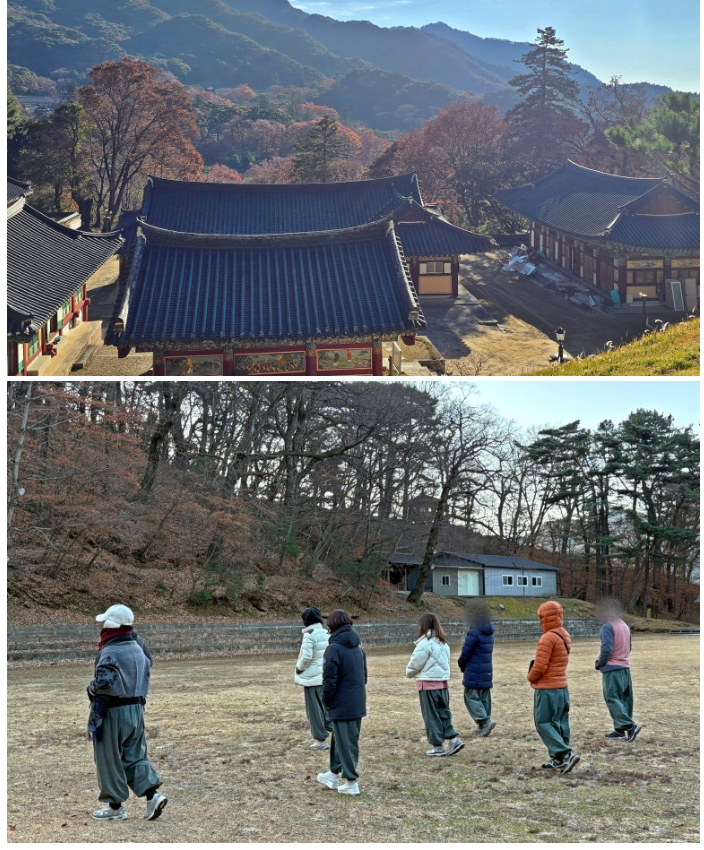 dd8063d511127.png