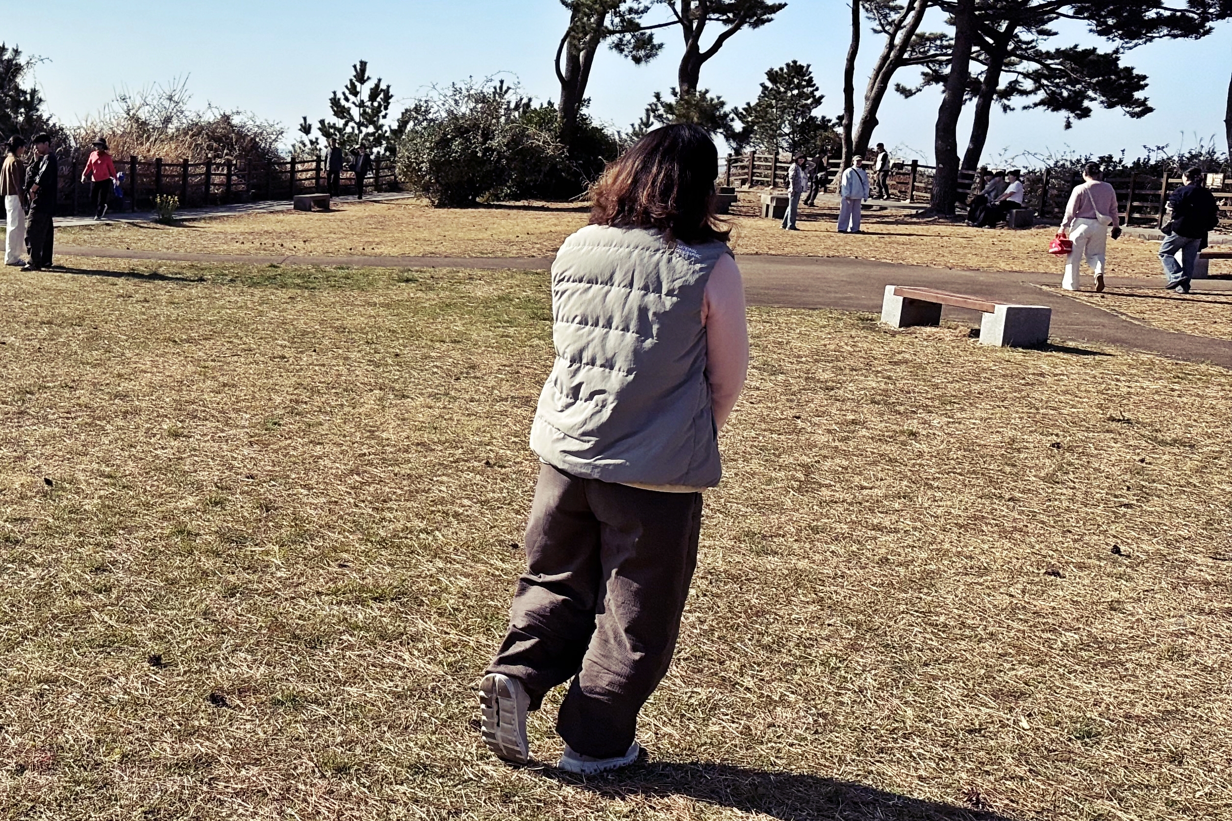 43a6ec4825268.jpg
